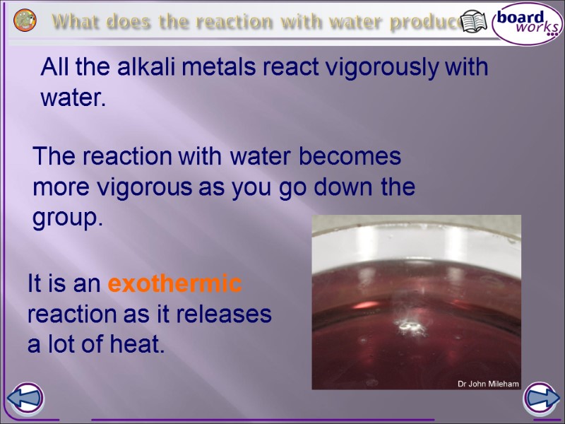 All the alkali metals react vigorously with water.   What does the reaction